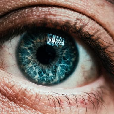 blue eye close-up